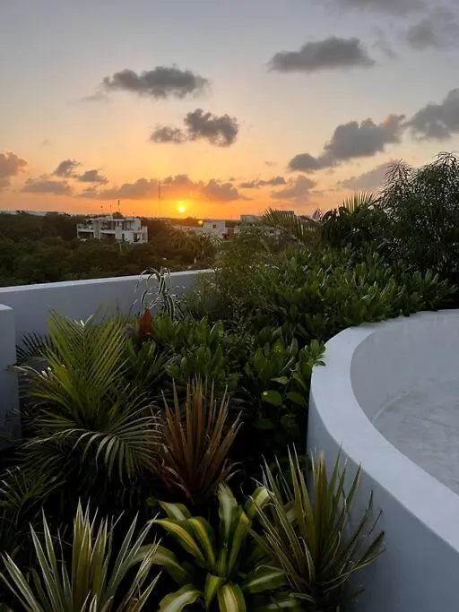 Studio Apartment Via Aqua La Veleta Tulum